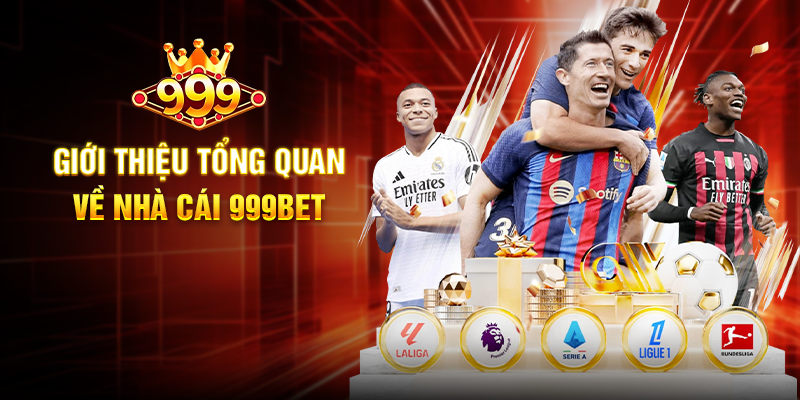 Giới Thiệu Tổng Quan Về Nhà Cái 999BET