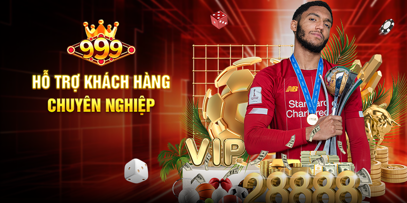 Hỗ Trợ Khách Hàng Chuyên Nghiệp
